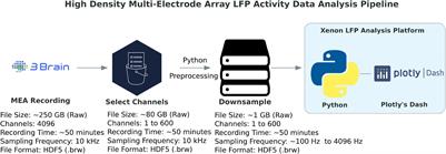 Xenon LFP Analysis Platform Is a Novel Graphical User Interface for Analysis of Local Field Potential From Large-Scale MEA Recordings